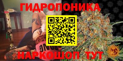 трава Новозыбков