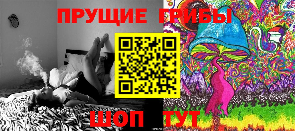 Псилоцибиновые грибы мицелий Богородск
