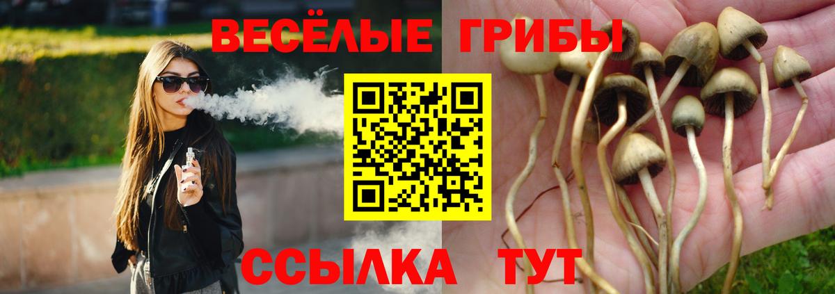 Галлюциногенные грибы Cubensis  Вход с VPN  Богородск 